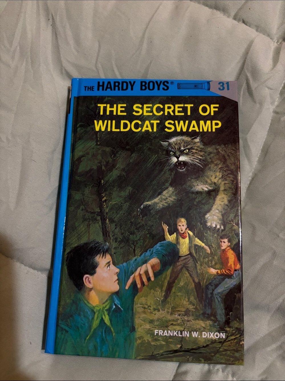 : The Secret of Wildcat Swamp - Blue Cover. # 31